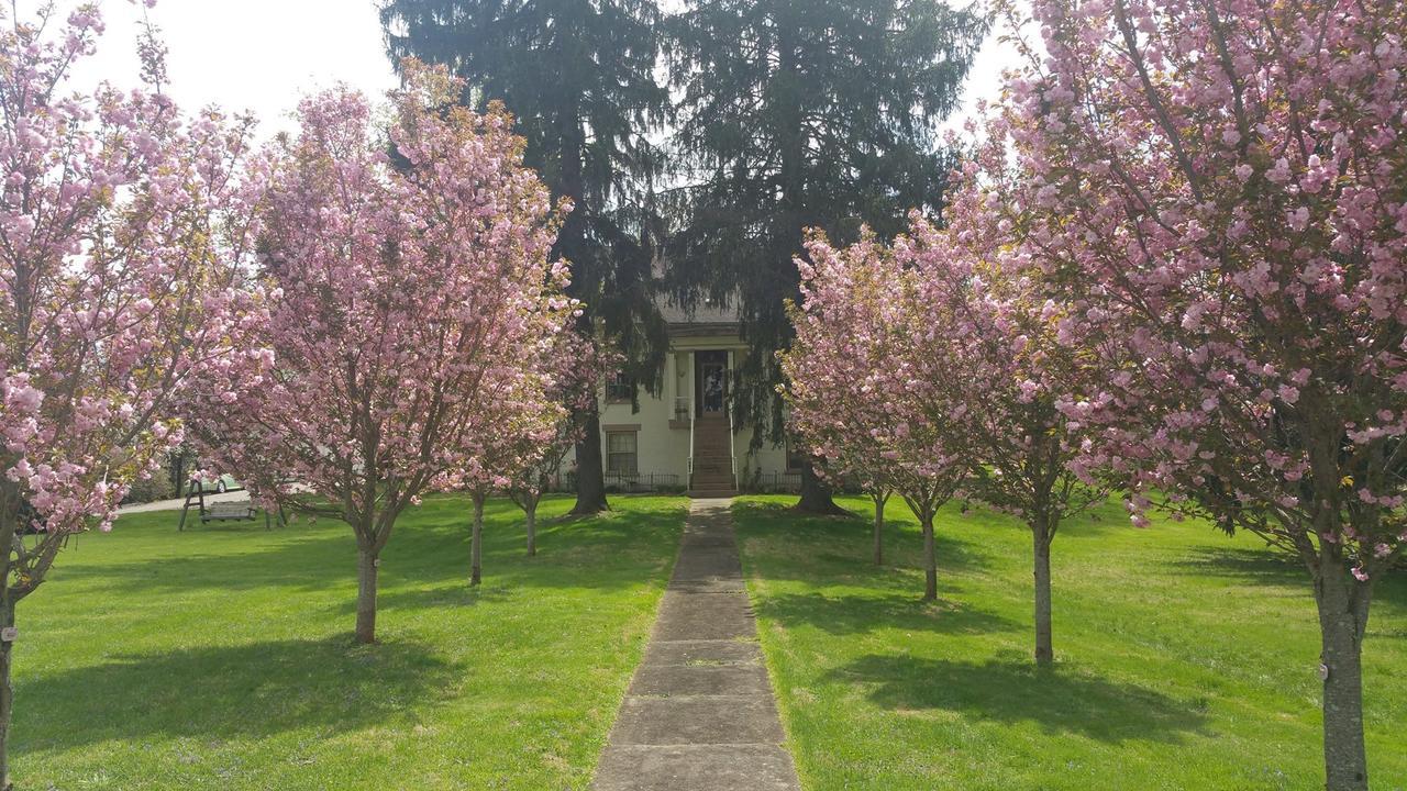 The Pines Of Dresden Bed & Breakfast エクステリア 写真